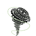 Cyclones logo